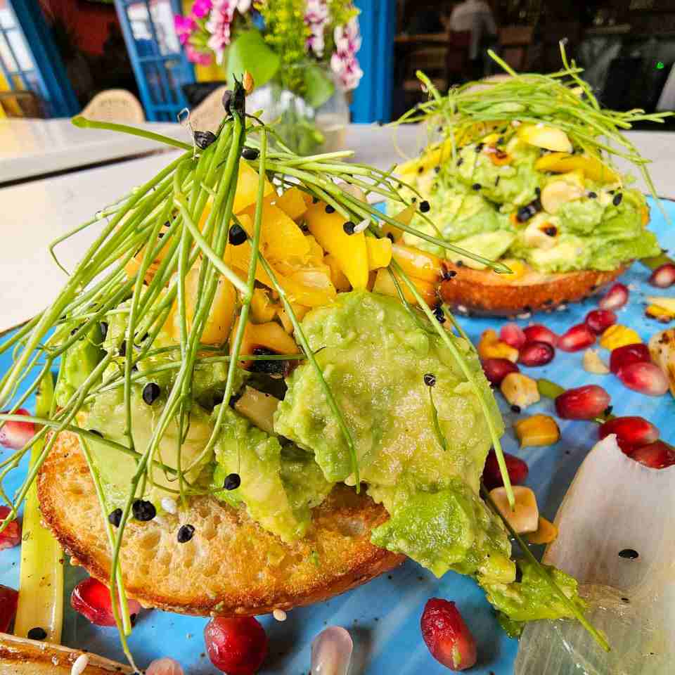 Fresh avocado bagel topped with charred serrano, mango, roasted corn, black sesame seeds, and microgreens at Nalu Vida Venice Beach.